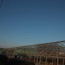 늘푸른농장 1 이미지