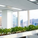 에코 플랜테리어 수경재배 이미지