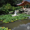 금당사 화장실 이미지