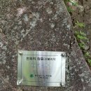 진등골 이미지