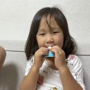 (주)스마투스 | 아이가 좋아하는 이가 튼튼해지는 사탕 &gt; &#34;스마투스 자일리톨 튼튼캔디&#34; 향긋하고 맛있다!