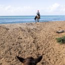 Time Terminal Hotel 이미지