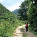 단월버스영업소 이미지