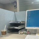 둔산남로91번길 | 지금까지의 일상일기 (~10월까지)