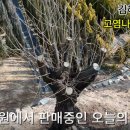 태림농원 이미지