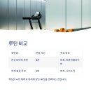 2주 실천으로 달라진 내 몸, 쇼츠 다이어트 루틴 후기 공개