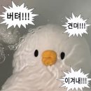 신세계노래팡 | 2025 memoirs, PART 3.