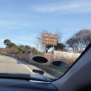 옥정 메타세콰이아길 이미지