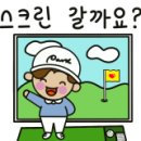 신동아 골프스크린 이미지