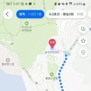 숲속랜드네일아트