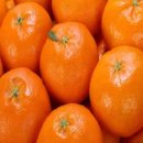 싱싱청과 - 안산시 단원구 원본로1길 21-1 | 싱싱청과