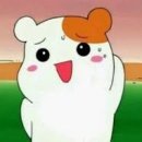 뛰뛰 강아지 놀이터 이미지