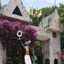 섬바위농장 이미지