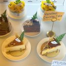 카페폴라 | 청주 대형 베이커리 카페 폴라그란데 내돈내산 후기