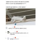 엄마냉면