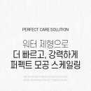 비피지
