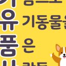 성분도빛둘레지역아동센터 네이버블로그