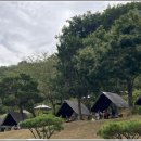 [10월 7일(수요일) 오후 3시] 시흥 '산골수목원' 카페에서 커피 한잔 후 참소예(쭈꾸미)에서 식사해요. 이미지