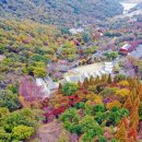 월아산 숲속의 진주 이미지