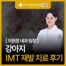 서초M동물의료센터 | 강아지 IMT 재발 치료 후기, 서초 VIP동물의료센터