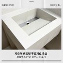 지축로 | 욕실 인테리어 마감은 퍼플렉스 p30으로 완성! 지축역 센트럴 푸르지오 시공 후기