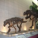 지질자원연구원 지질박물관 이미지