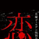 사랑이네 이미지