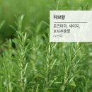 웅진 해송웰루션, 자연이 선물한 건강의 힘