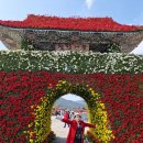 가촌새터길 | 황산공원 국화꽃축제 후기와 근처 점심 맛집, 생생쭈꾸미 물금점 방문기