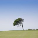 남춘천CC 이미지