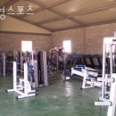 선경스포츠