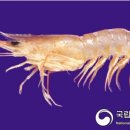 일종수산 이미지