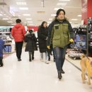 워킹퍼피 이미지