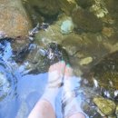 천년 역사 속 옛길 이미지