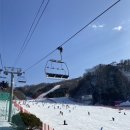 비발디파크사우나 이미지