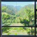 골든파인펜션 이미지