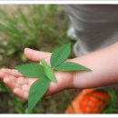 문의초교 병설유치원 이미지