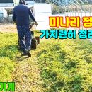 푸른사료 이미지