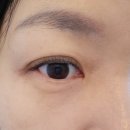 첫눈애 | 운양동속눈썹 잘하는 곳, 첫눈애 속눈썹 솔직 후기