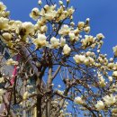 도도한푸드 이미지