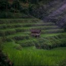 품속농장 이미지