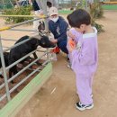 홍서농장 네이버블로그