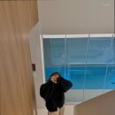 스테이레