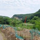 연천군양원리보건진료소 이미지