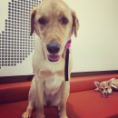 니드포펫 이미지