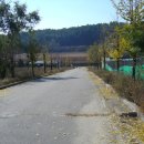 춘천농장 이미지