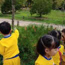 밤비니유치원 이미지