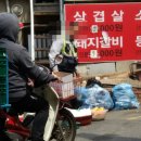 관악경찰서 이미지