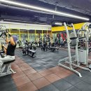 아인스 휘트니스 이미지