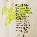 수채캘리그라피 오전반 이미지